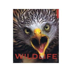 Kniha Wildlife - 