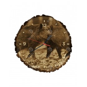 Hodiny  - Diviak lesný - Hodiny  - Diviak lesný