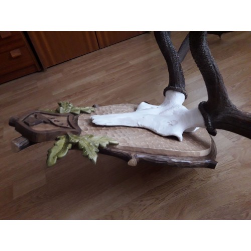 Obrázok číslo 3: Lebka jeleňa na parohy - zhody - veľká