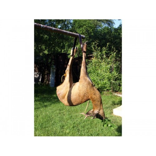 Obrázok číslo 2: Nosič srnčej zveri kožený