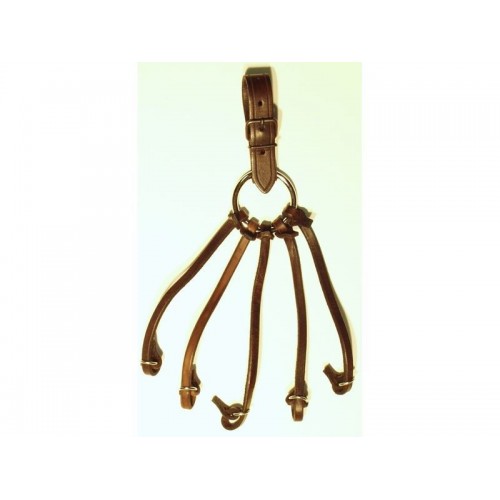 Remienky na pernatú zver