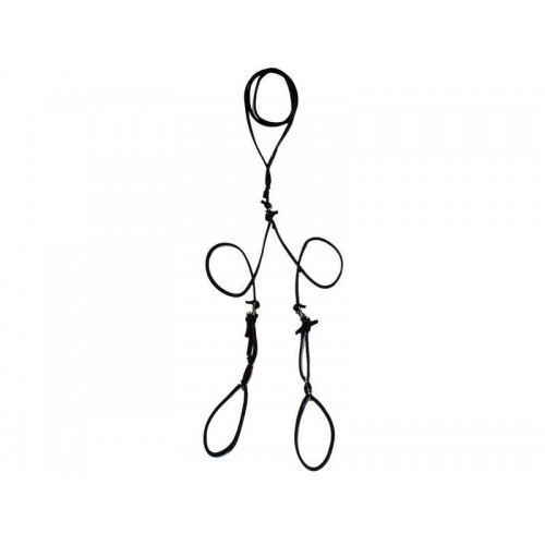 Predvádzacie vodítko pre dvoch psov farba prírodná