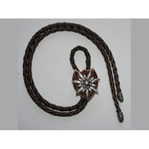 Poľovnícka kravata plesnivec veľký