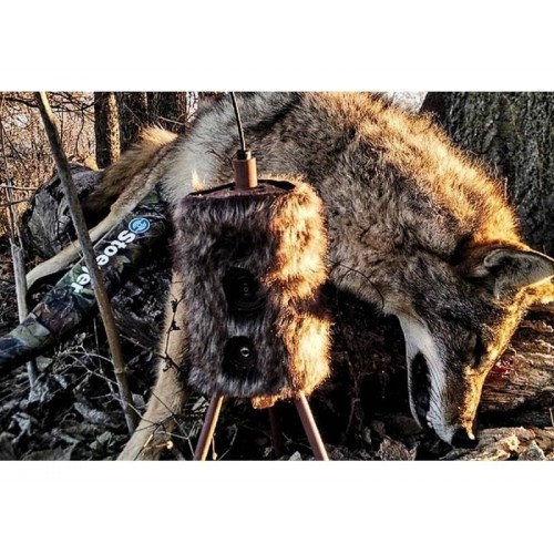 Obrázok číslo 3: Balabán MOJO Super Critter - Super Tvor