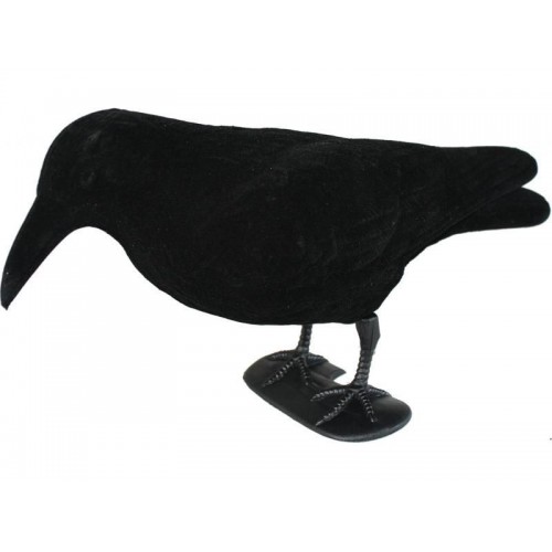 Balabán vrana celé telo k univerzálnemu kolotoču