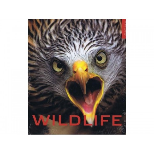 Kniha Wildlife