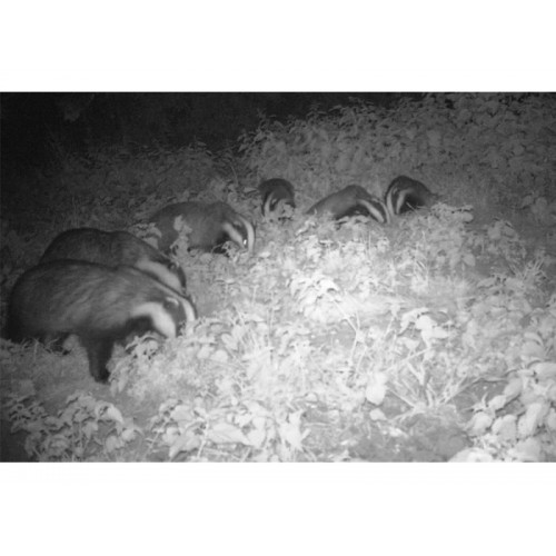 Obrázok číslo 2: Fotopasca Bushnell Trophy CAM Aggressor 20 mpx