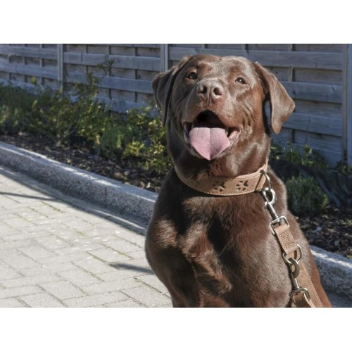 Obrázok číslo 2: GREENBURRY Dog Neckholder 51-58cm - kožený obojok