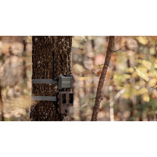 Obrázok číslo 2: Spypoint CELL-LINK premení neodosielaciu fotopascu na odosielaciu