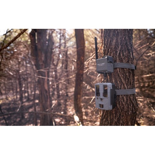 Obrázok číslo 3: Spypoint CELL-LINK premení neodosielaciu fotopascu na odosielaciu