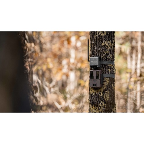 Obrázok číslo 4: Spypoint CELL-LINK premení neodosielaciu fotopascu na odosielaciu