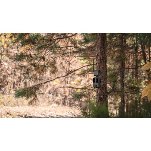 Obrázok číslo 9: Spypoint CELL-LINK premení neodosielaciu fotopascu na odosielaciu