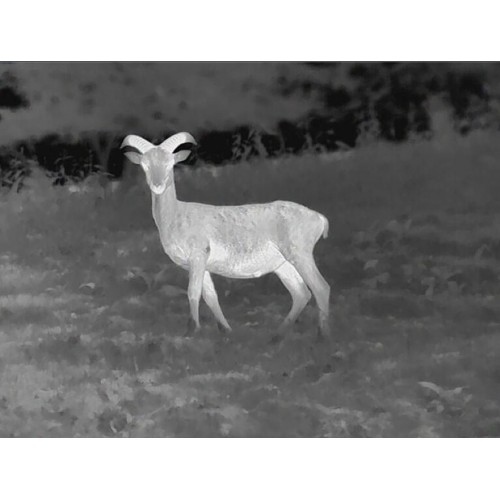 Obrázok číslo 2: Pozorovacie zariadenie termovízia Leica Calonox View