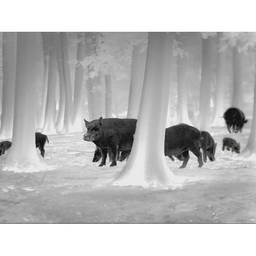 Obrázok číslo 4: Pozorovacie zariadenie termovízia Leica Calonox View