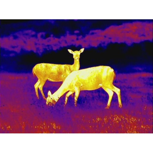 Obrázok číslo 5: Pozorovacie zariadenie termovízia Leica Calonox View