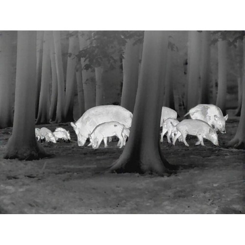 Obrázok číslo 6: Pozorovacie zariadenie termovízia Leica Calonox View