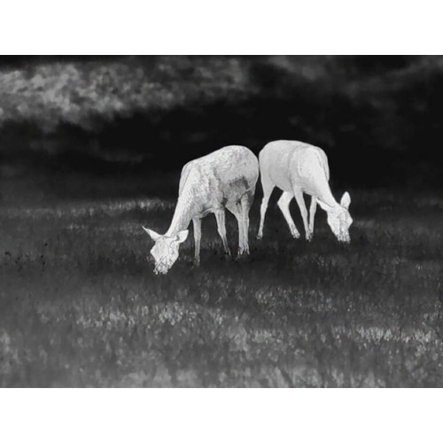 Obrázok číslo 7: Pozorovacie zariadenie termovízia Leica Calonox View