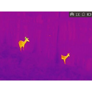 Obrázok číslo 14: Termovízia TETRAO Bubo H-35 Wi-Fi 50Hz detekcia na 3157 m