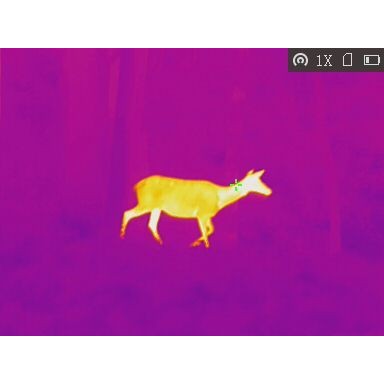 Obrázok číslo 7: Termovízia TETRAO Bubo H-35 Wi-Fi 50Hz detekcia na 3157 m