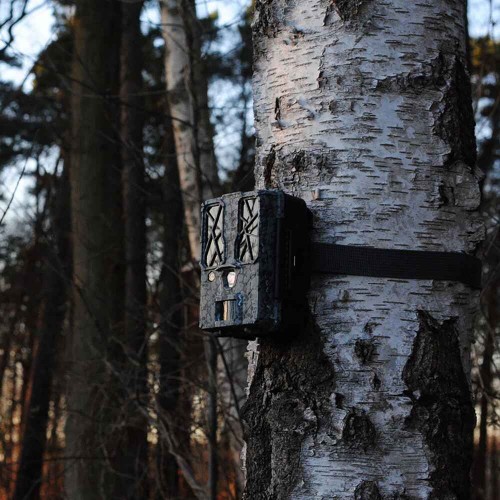 Obrázok číslo 6: Fotopasca Spypoint FORCE-PRO