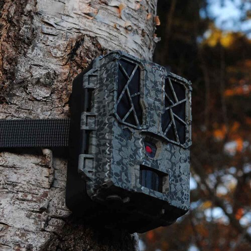 Obrázok číslo 7: Fotopasca Spypoint FORCE-PRO