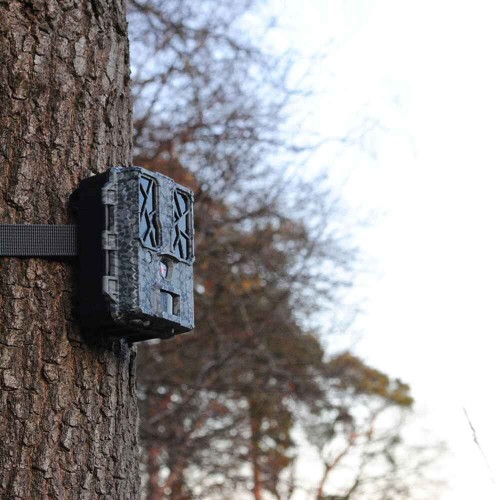 Obrázok číslo 9: Fotopasca Spypoint FORCE-PRO