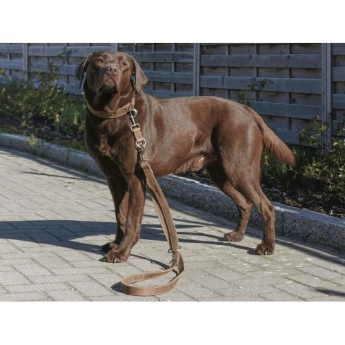 Obrázok číslo 6: GREENBURRY Leder Führleine 190cm - vodítko pre psa