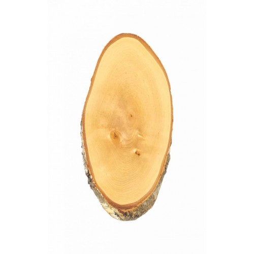 Brezová podložka pod trofej 42-45x22 cm
