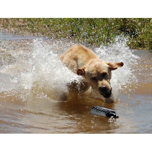 Obrázok číslo 3: Výcvikový gumový bumper Flasher pre psy - čiernobiely