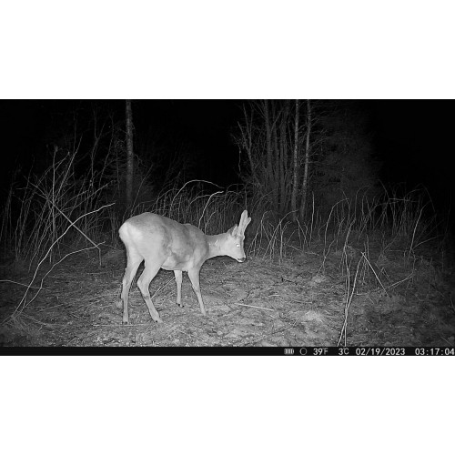 Obrázok číslo 10: Fotopast Hikmicro M15