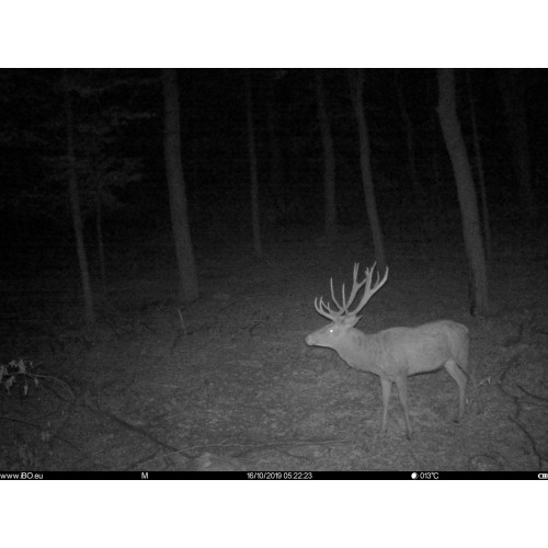 Obrázok číslo 12: Fotopasca TETRAO Spromise S308 30Mpx 940nm