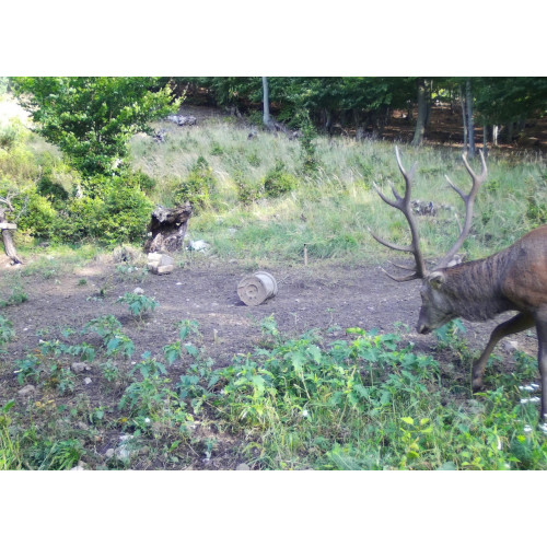 Obrázok číslo 8: Fotopasca TETRAO Spromise S308 30Mpx 940nm