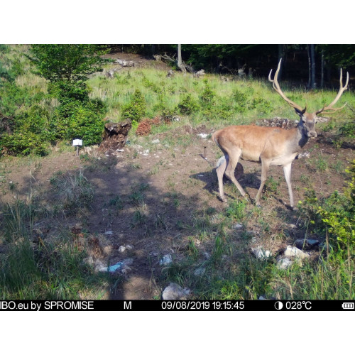 Obrázok číslo 8: Fotopasca TETRAO Spromise S378 30Mpx 940nm 4G s odosielaním videa + O2 SIM karta ZADARMO