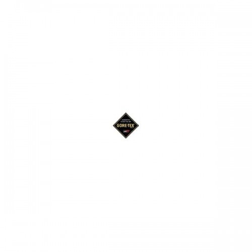 Obrázok číslo 2: LABRADOR BOA