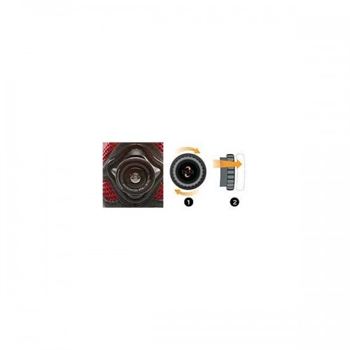 Obrázok číslo 4: BULLDOG BOA