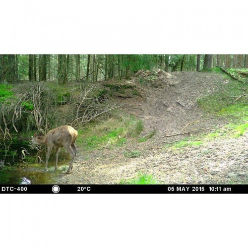 Obrázok číslo 10: Fotopasca MINOX DTC 450 - ultra tenká SK a CZ MENU