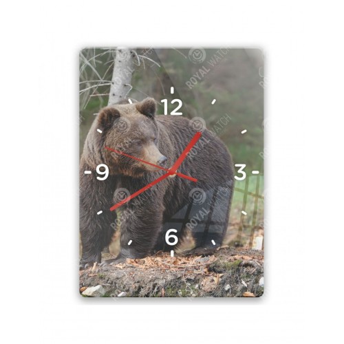 Obrázok číslo 4: Hodiny  - Medveď hnedý
