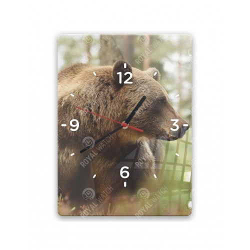 Obrázok číslo 6: Hodiny  - Medveď hnedý