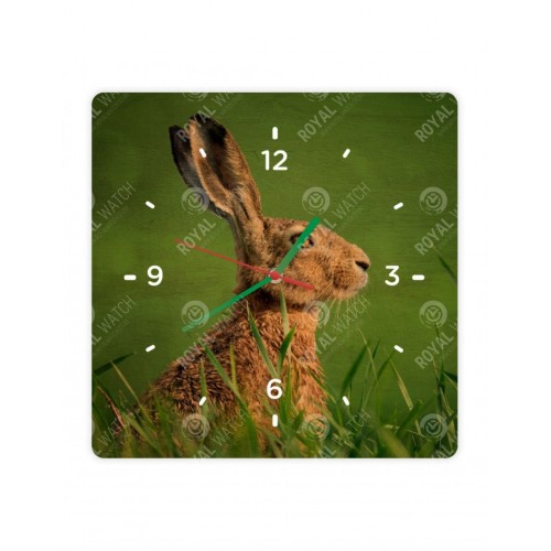 Obrázok číslo 2: Hodiny  - Zajac poľný