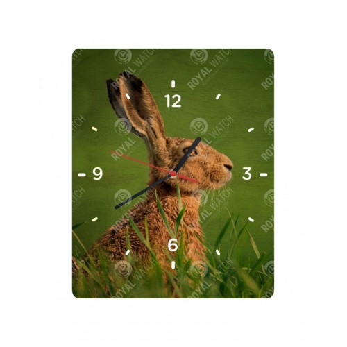 Obrázok číslo 6: Hodiny  - Zajac poľný