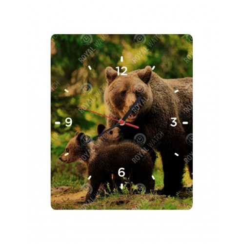 Obrázok číslo 6: Hodiny  - Medveď hnedý