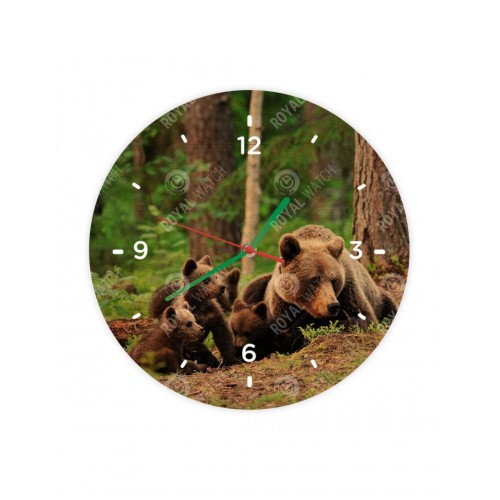 Obrázok číslo 2: Hodiny  - Medveď hnedý