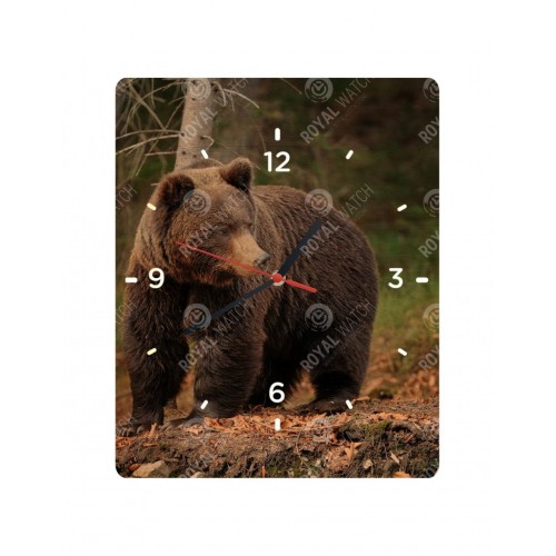 Hodiny  - Medveď hnedý