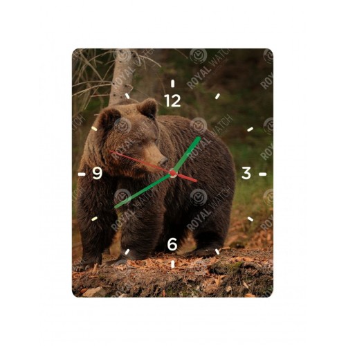 Obrázok číslo 2: Hodiny  - Medveď hnedý