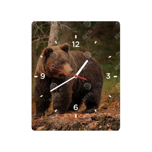 Obrázok číslo 3: Hodiny  - Medveď hnedý