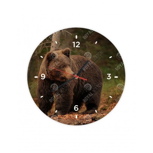 Obrázok číslo 5: Hodiny  - Medveď hnedý