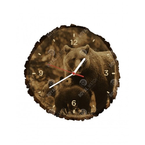 Obrázok číslo 3: Hodiny  - Medveď hnedý