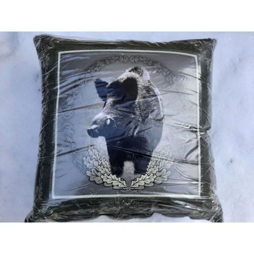 Obrázok číslo 2: Vankúš - diviak